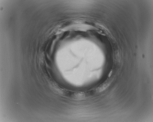 X0000071950325200607282015