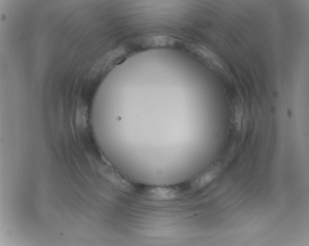 X0000071950326200607282015