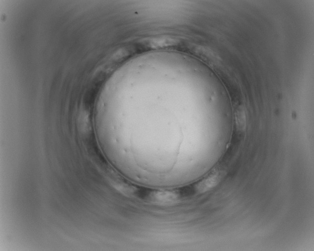 X0000071950327200607282014