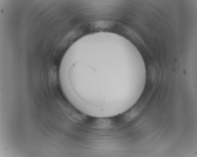 X0000071950328200607282014