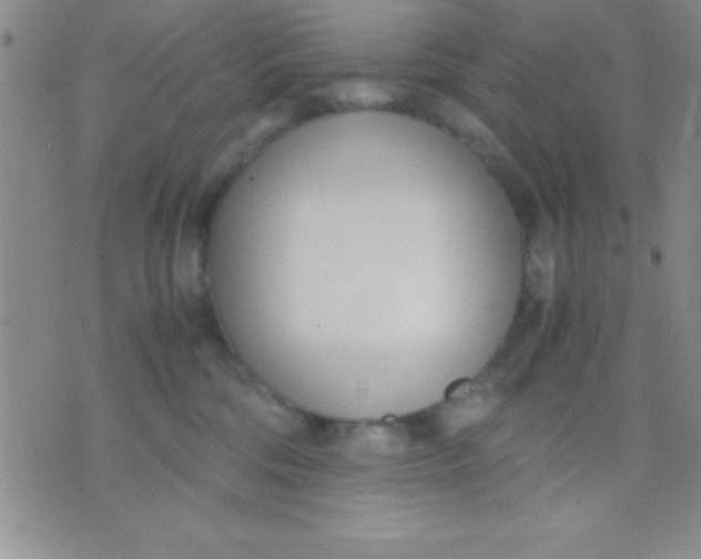 X0000071950330200607282014