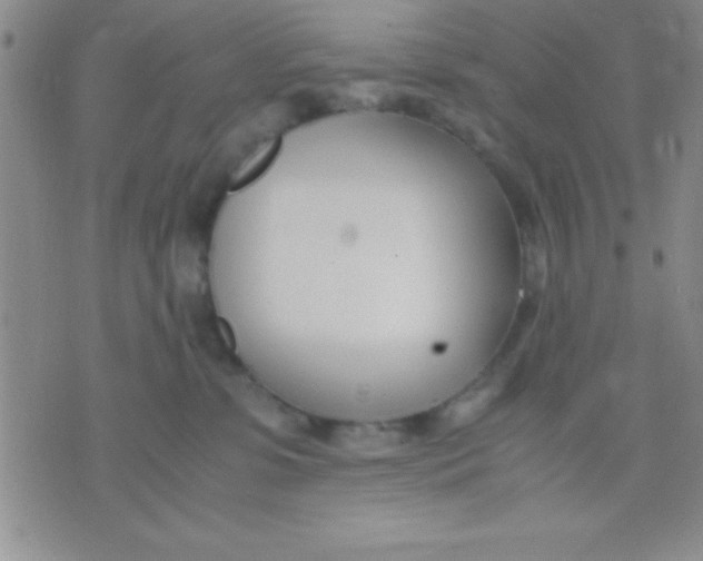 X0000071950331200607282014