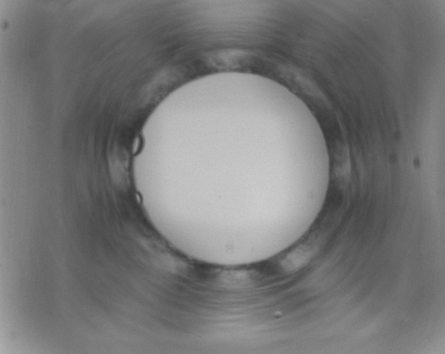 X0000071950332200607282014