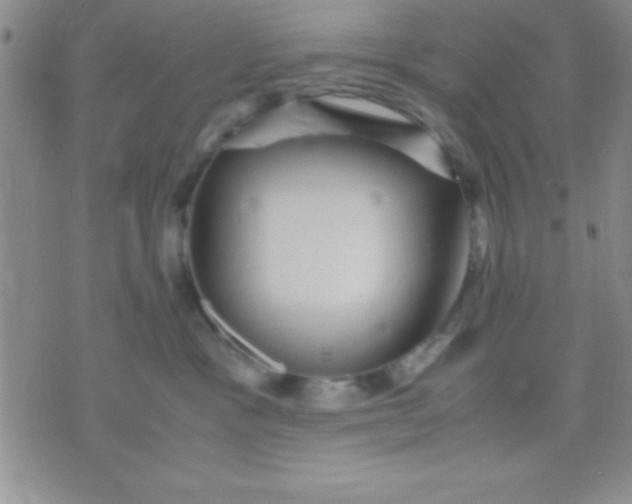 X0000071950333200607282014