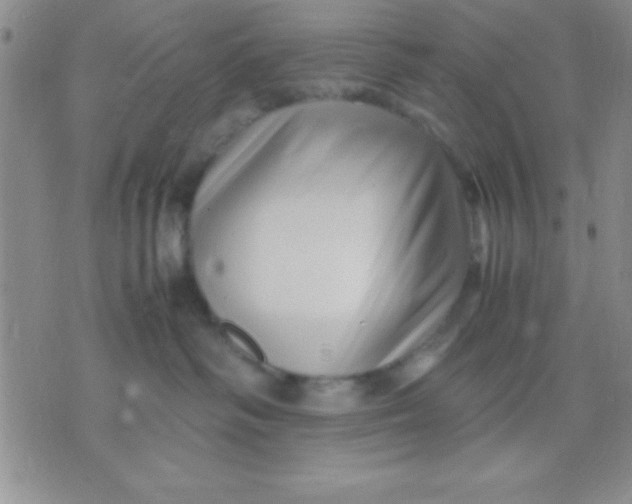 X0000071950334200607282014