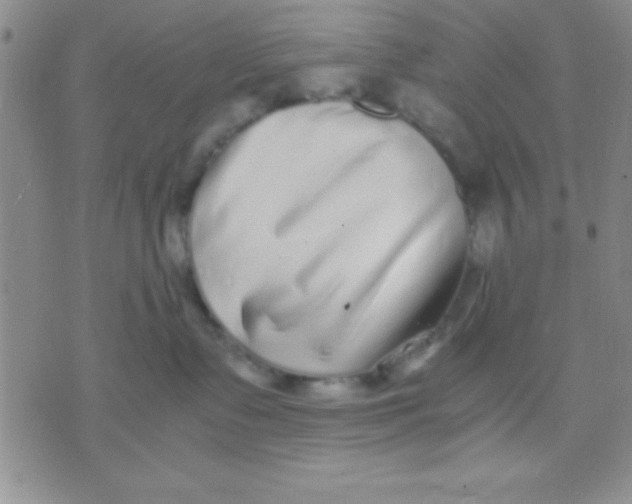 X0000071950335200607282014