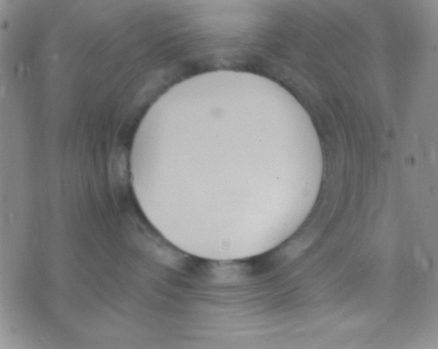 X0000071950336200607282014