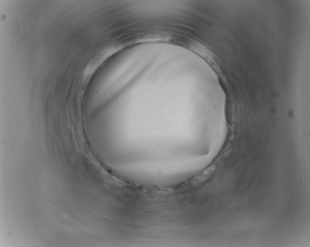 X0000071950337200607282014