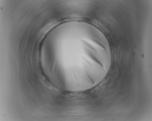 X0000071950338200607282014