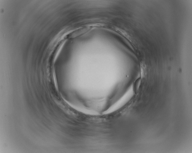 X0000071950339200607282014