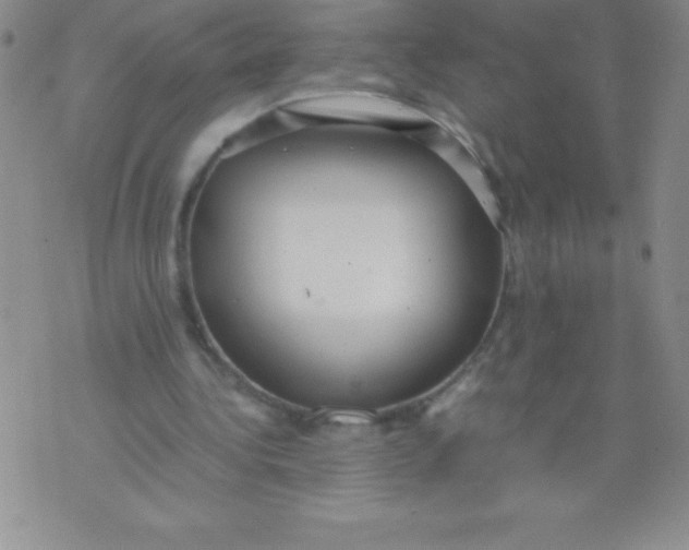 X0000071950340200607282014