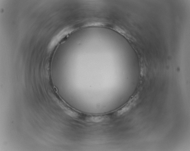 X0000071950341200607282014