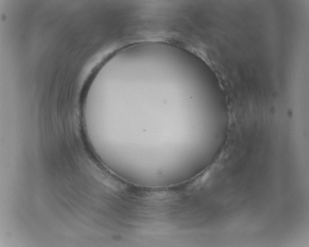 X0000071950342200607282014