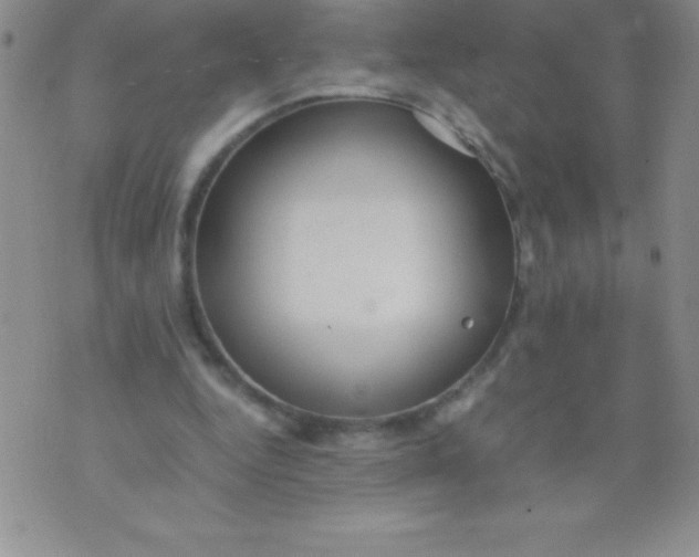 X0000071950344200607282014