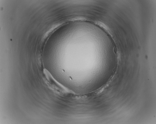 X0000071950345200607282014