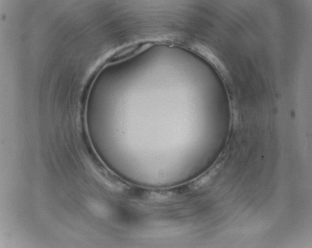 X0000071950346200607282014