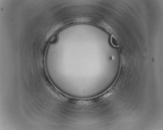 X0000071950347200607282014