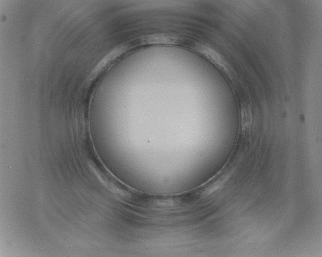 X0000071950349200607282014