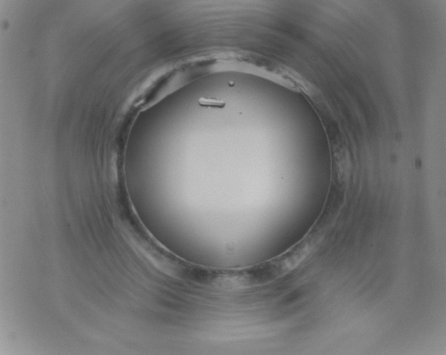 X0000071950350200607282014