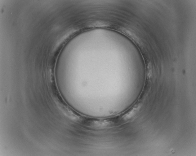 X0000071950351200607282014