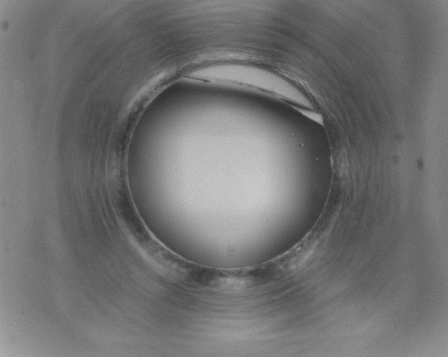 X0000071950352200607282014