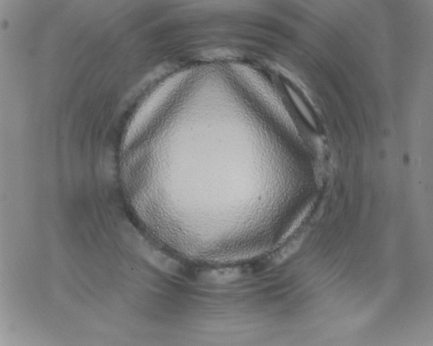 X0000071950353200607282014