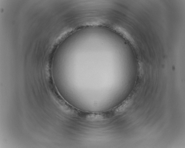 X0000071950354200607282014