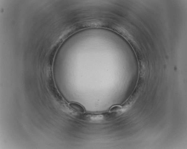 X0000071950355200607282014