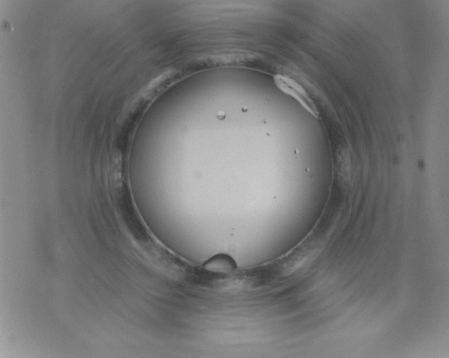 X0000071950356200607282014