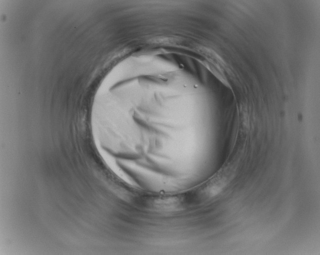 X0000071950357200607282014