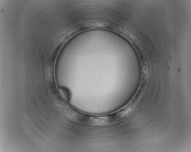 X0000071950359200607282014