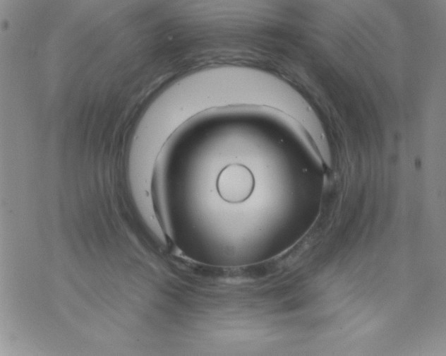 X0000071950360200607282014