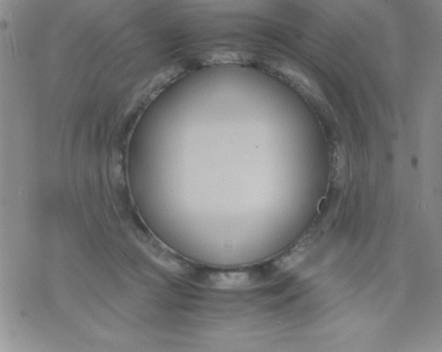 X0000071950361200607282014