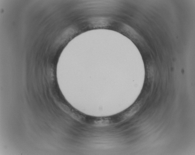 X0000071950362200607282014