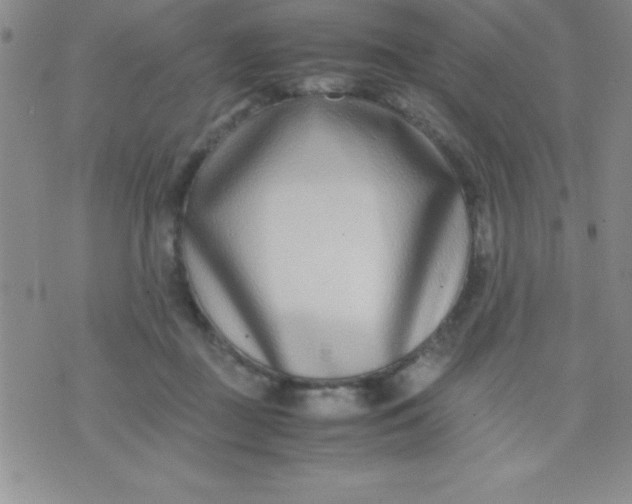 X0000071950363200607282014