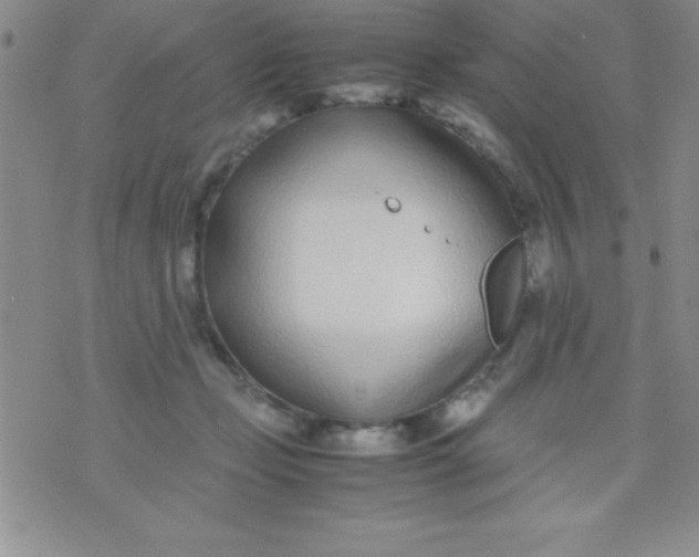 X0000071950365200607282014