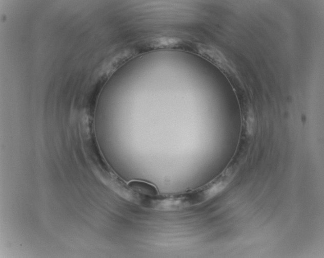 X0000071950366200607282014