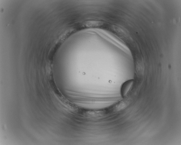 X0000071950367200607282014