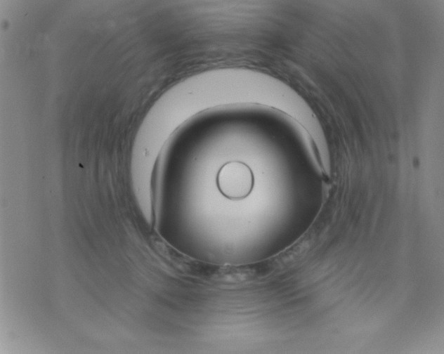 X0000071950368200607282014