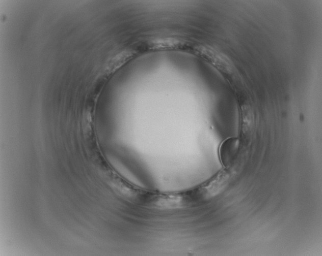 X0000071950369200607282014