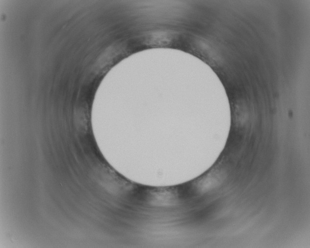 X0000071950370200607282014