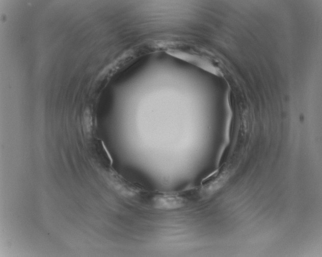 X0000071950372200607282014