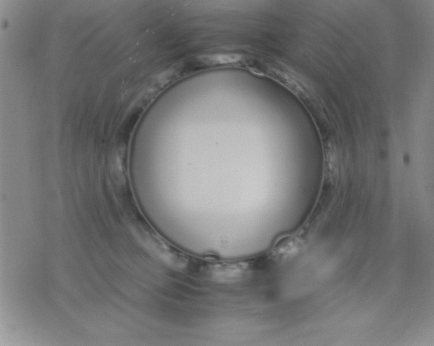 X0000071950373200607282014