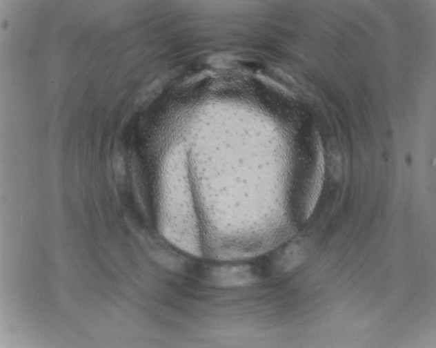 X0000071950375200607282014