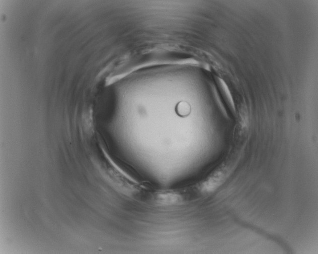 X0000071950376200607282014