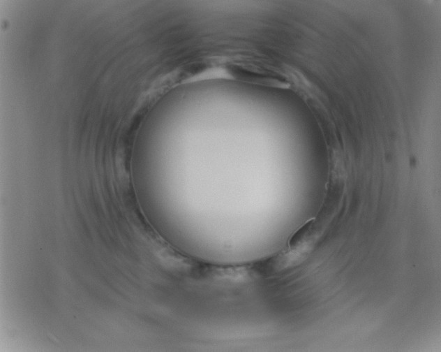 X0000071950377200607282014