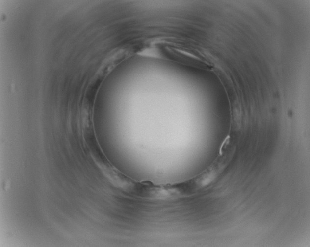 X0000071950379200607282014