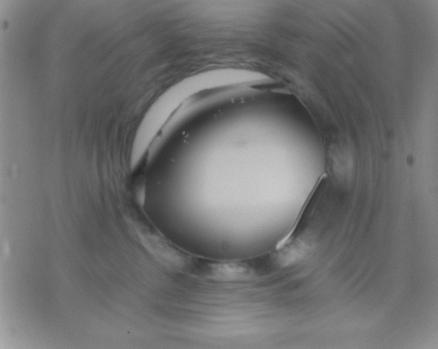 X0000071950380200607282014