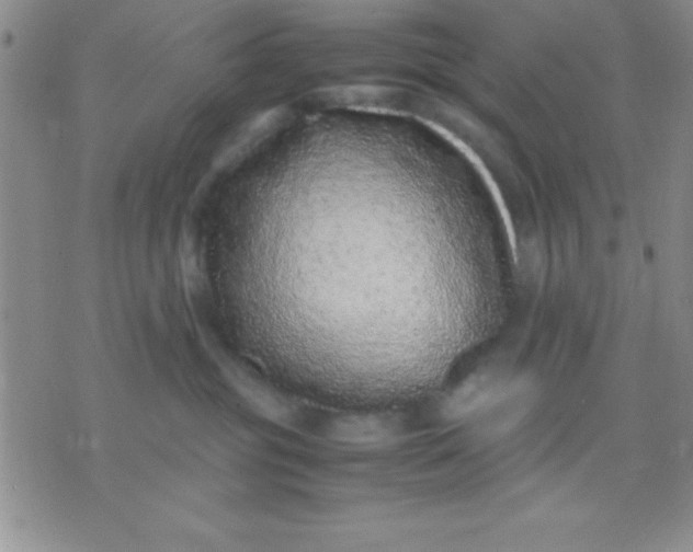 X0000071950381200607282014