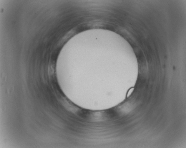 X0000071950382200607282014